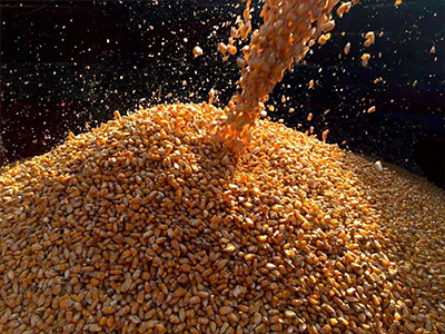 Collecte de c�r�ales