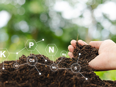 Analyse de sol et des �ffluents