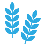 Picto c&eacute;r&eacute;ales